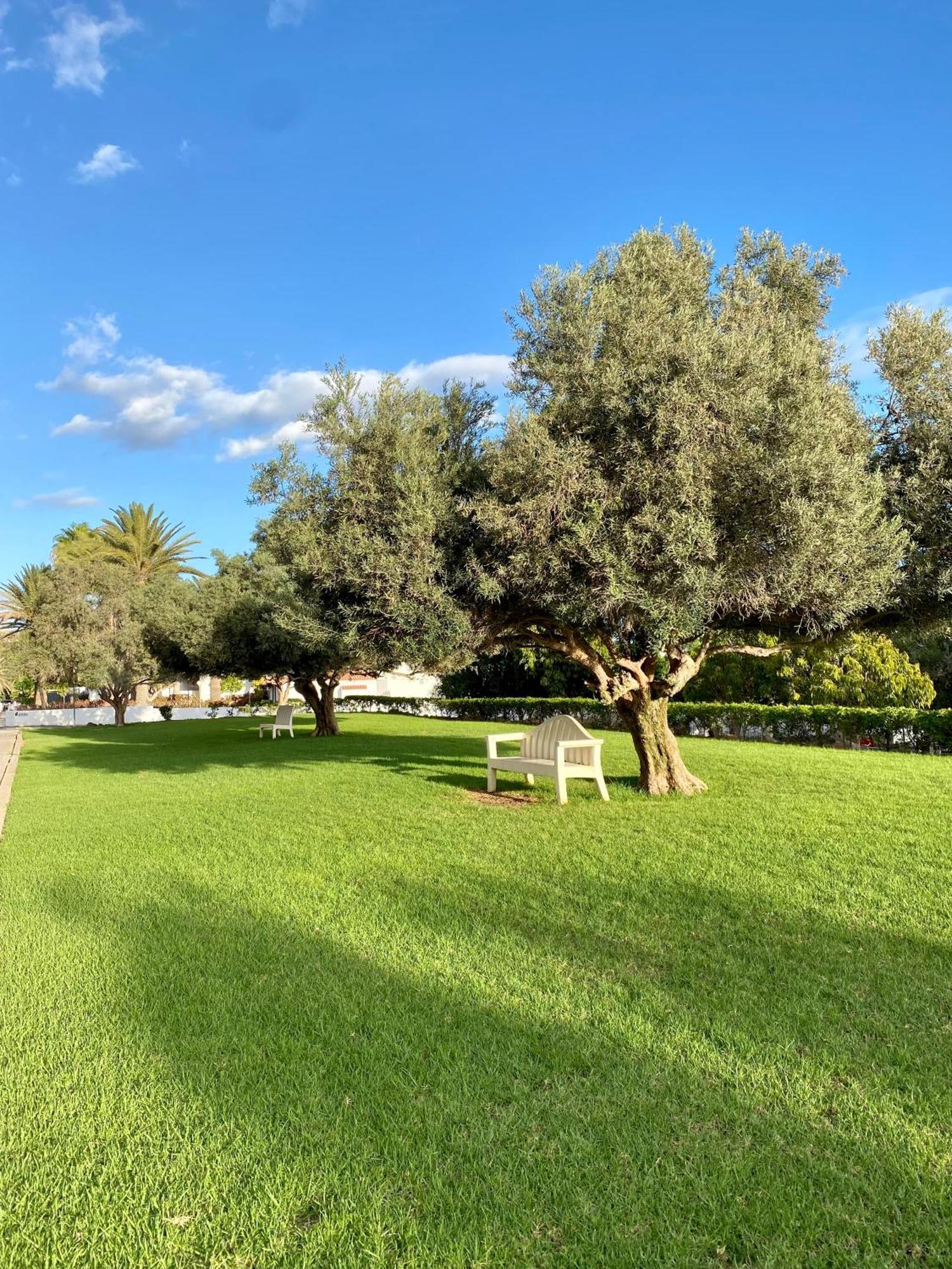 Casa Con Terraza Y Piscina En Pasito Blanco, Cerca De Maspalomas Esterno foto